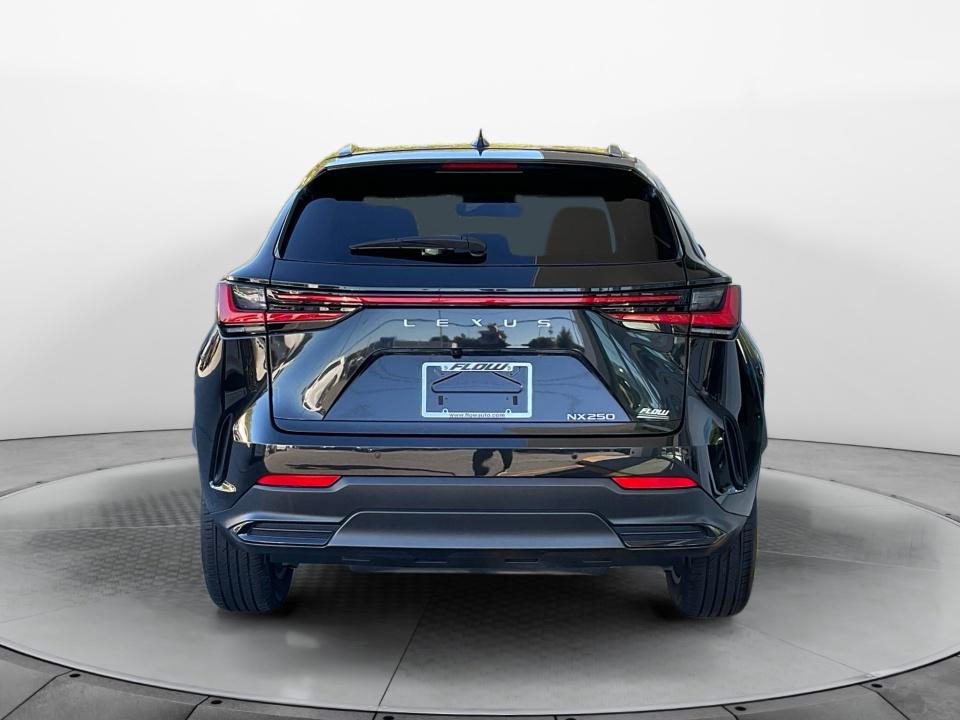 2024 Lexus NX 250 NX 250 Premium