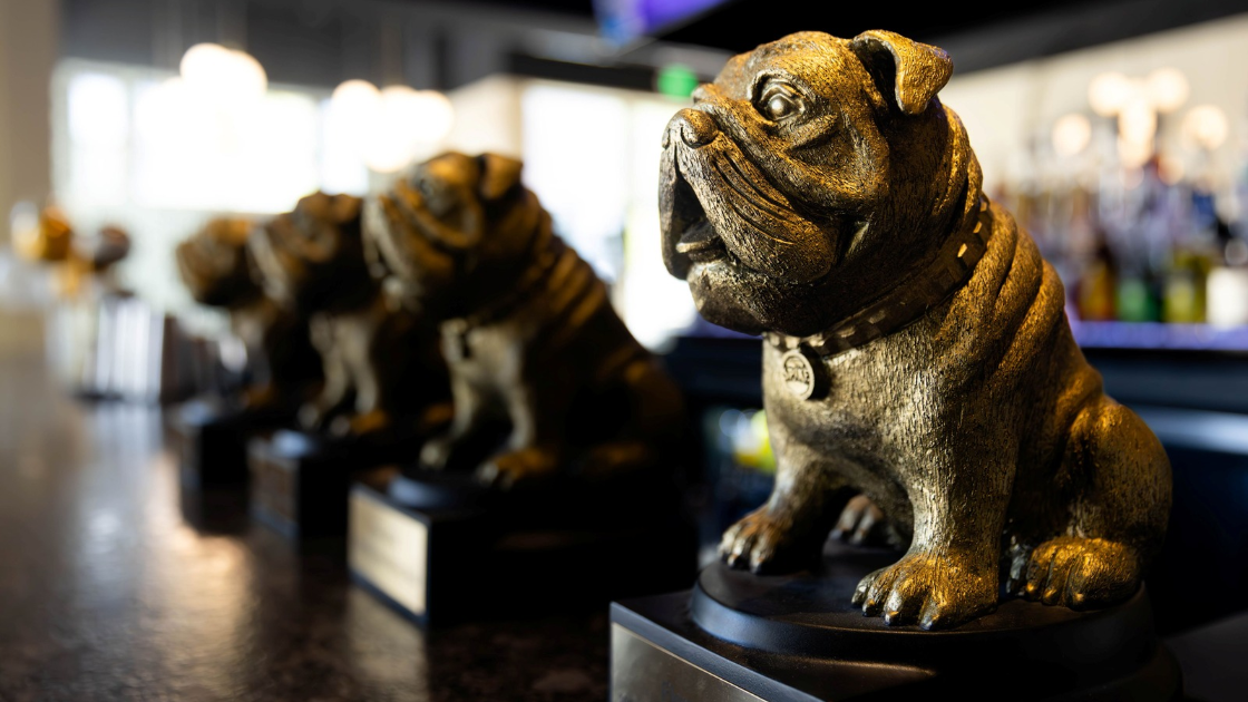 Golden Bulldog